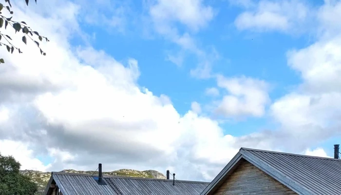 Dnt Kvinen -  Telefon - Tjørhom