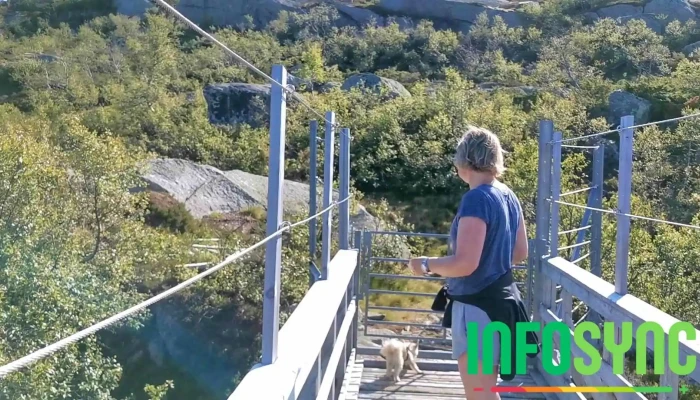 Dnt Kvinen -  Videoer - Tjørhom