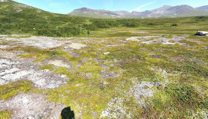 Dnt Nedalshytta -  Street View 360deg - Tydal