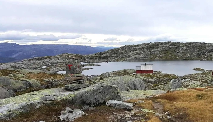 Dnt Skavlabu -  Katalog - Modalen