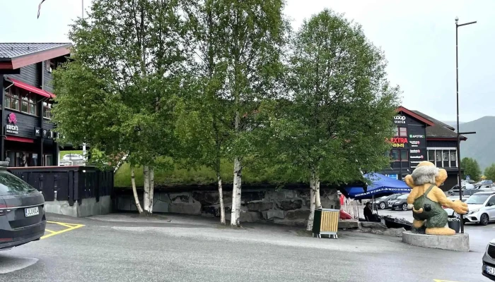 Dombas Skyssterminal Nær Meg - Dombås