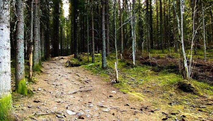 Eiktunet -  Nummer - Gjøvik