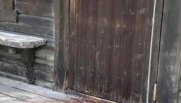 Engholm Husky Design Lodge -  Videoer - Karasjok