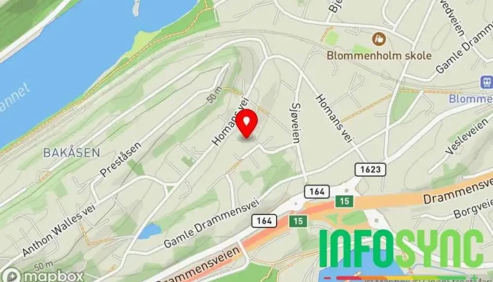 kart over Envision IT AS Teknisk konsulent, Programvareselskap i Blommenholm