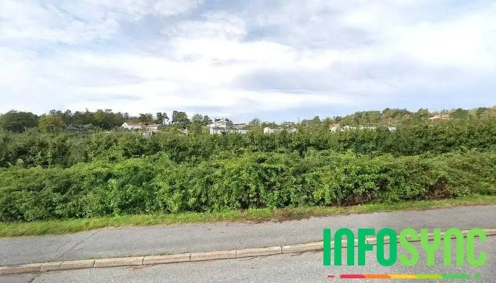 Expert Ikt - Sandefjord