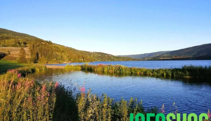 Fagernes -  Alle - Fagernes