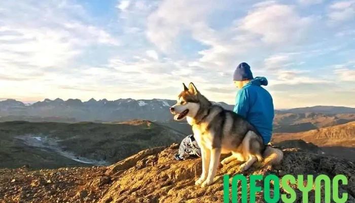 Fagernes Turistinformasjon -  Fra Eieren - Fagernes