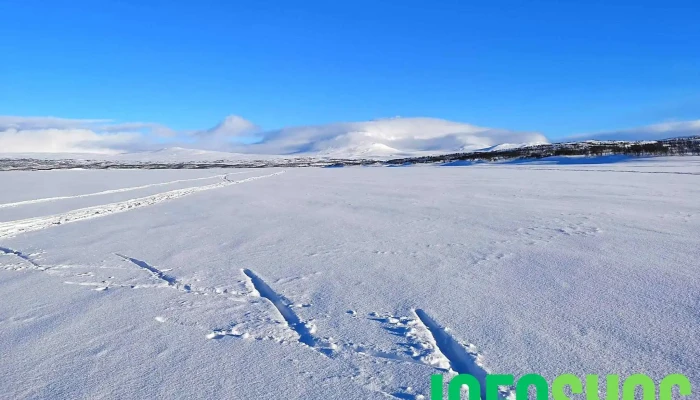 Fjellguiden Tydal As -  Fra Besokende - Tydal