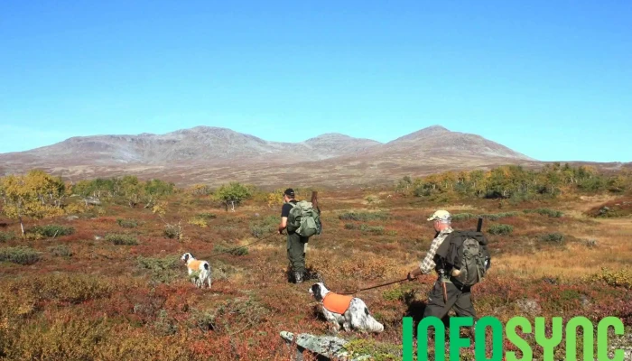 Fjellstyrene I Lierne Sa -  Alle - Nordli