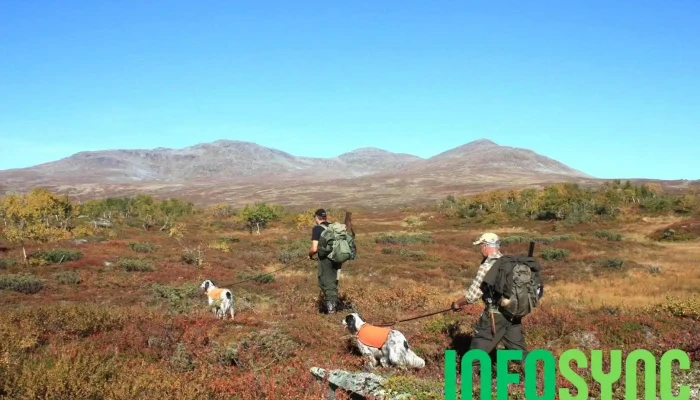 Fjellstyrene i Lierne Sa - Nordli