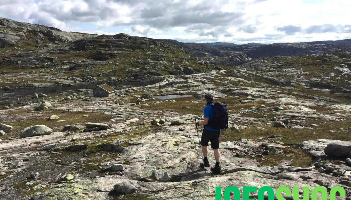 Fjellvassbu -  Landskap - Masfjordnes