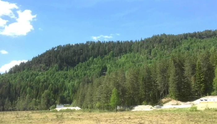 Flesberg Skytterlag -  Forening Eller Organisasjon - Flesberg