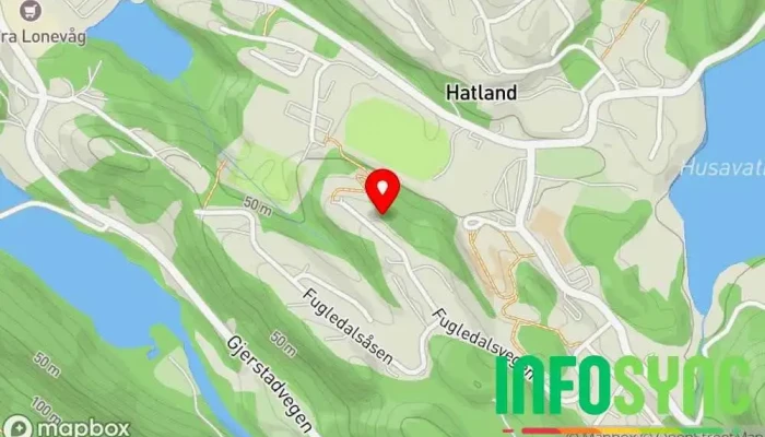 kart over Fugledalen Boligfelt Losji i Lonevåg