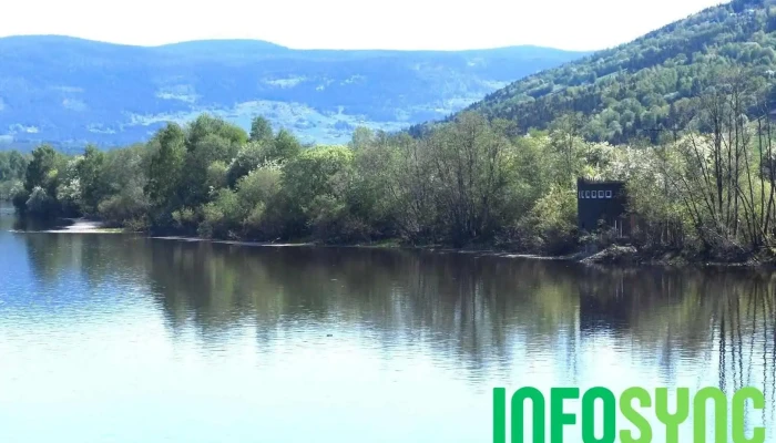 Fuglekikkertårn Sør-Fron - Lia