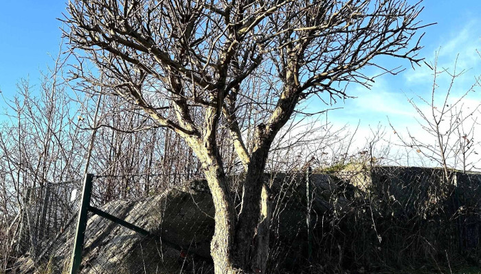 Færder Eiendomsservice - Skadedyrkontroll - Tønsberg