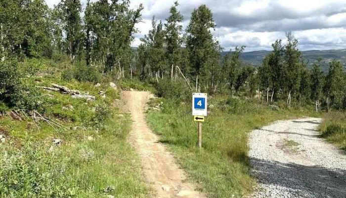 Geilo Bikepark -  Alle - Geilo