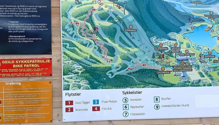 Geilo Bikepark -  Attraksjon I Fornøyelsespark - Geilo