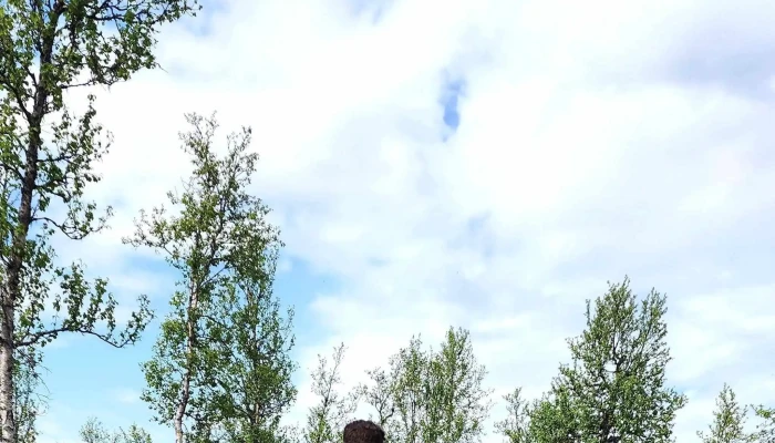 Geilo Bikepark -  Timeplan - Geilo