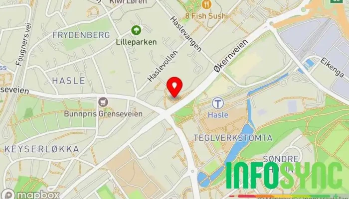 kart over Geomatikk AS Kartleggingstjeneste, IT-konsulent, Informasjonstjenester, Programvareselskap i Oslo