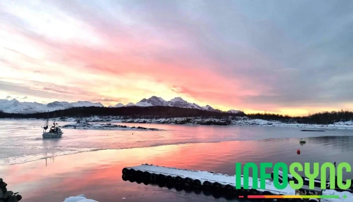 Gifas ( Forskningsstasjon) - Inndyr