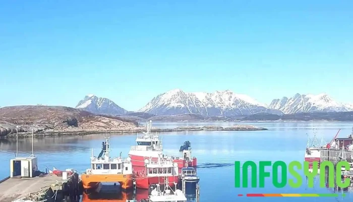 Gmv Service Rødøy As - Norge