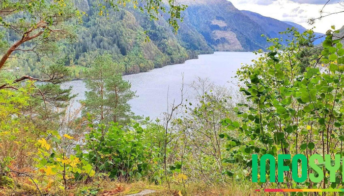 Granvin Kommune -  Alle - Voss