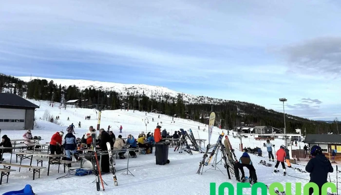 Grong Skisenter -  Ski - Medjå