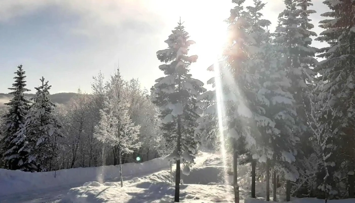 Grong Skisenter -  Telefon - Medjå