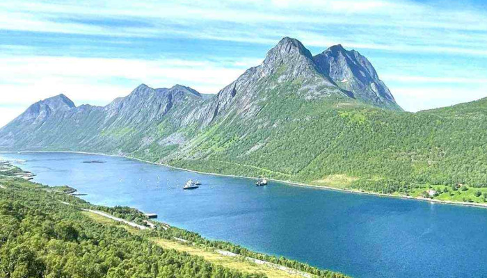 Gryllefjord Observasjonskurve -  Alle - Gryllefjord