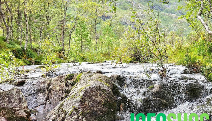 Grønelva fossefall - Lødingen