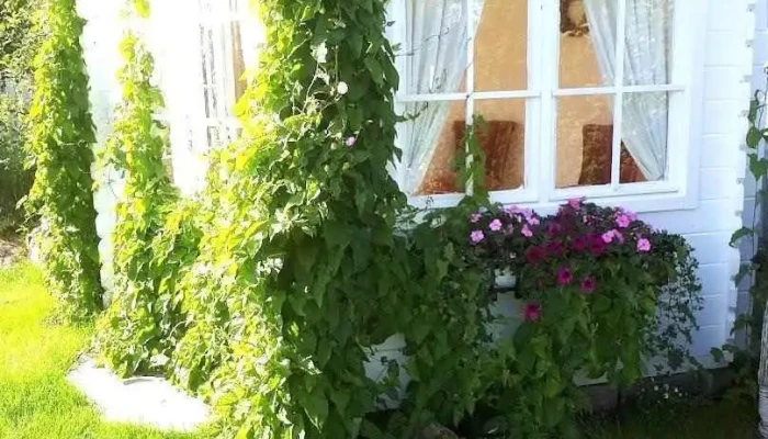 Hans Erik og Jannes lysthus. - Aurskog