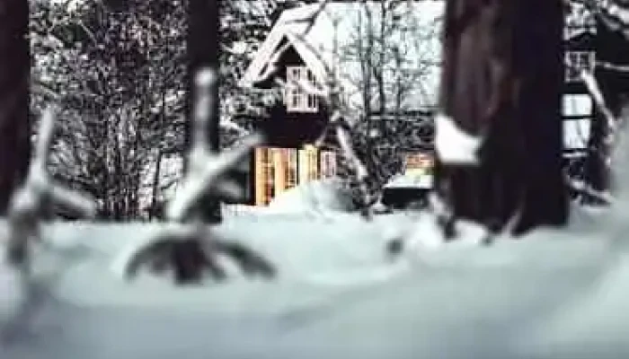 Hemsedal Hytteservice -  Fra Eieren - Hemsedal