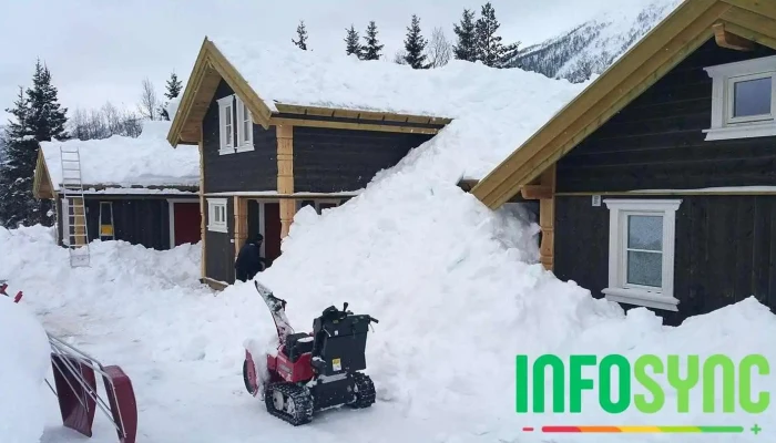 Hemsedal Skigard -  Fra Eieren - Hemsedal