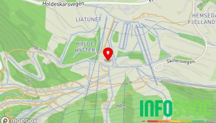 kart over Hollvin Restaurang & Bar Restaurant, Bar i Hemsedal