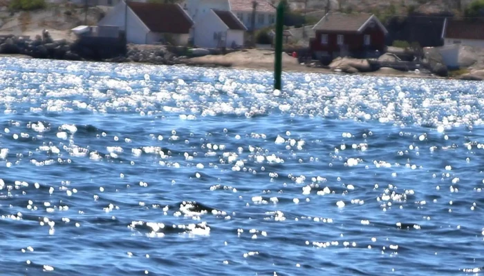 Homlungen Fyrstasjon -  Kampanje - Skjærhalden