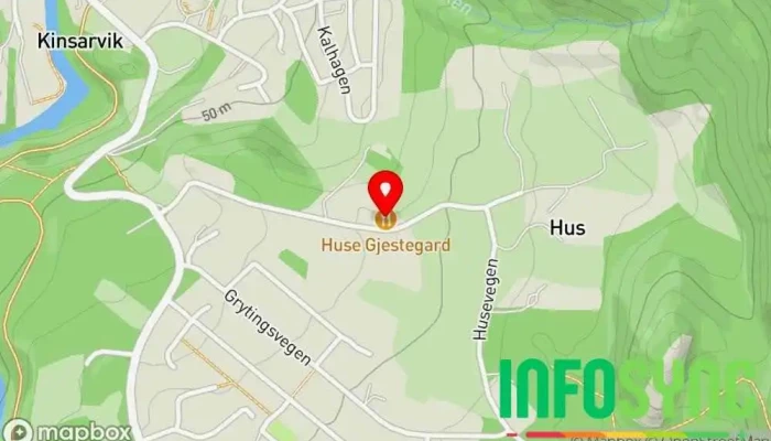 Husedalens vener - Kinsarvik