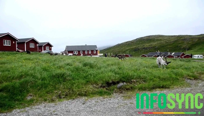 Hytte Camp Nordkapp   Basecamp Eksterior - Skarsvåg