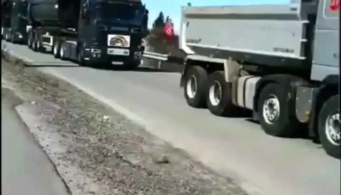 Ingolf Thune Transport Kontor -  Videoer - Bjerkvik