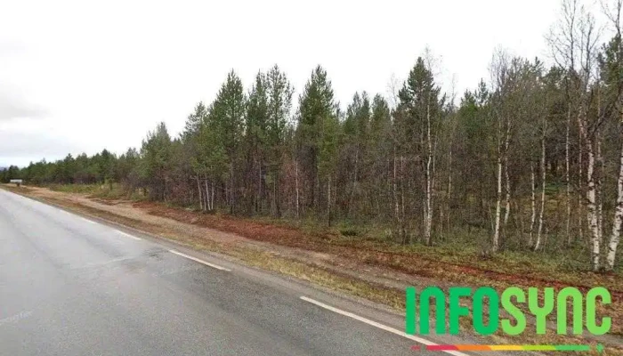 Karasjok bilberging as - Karasjok
