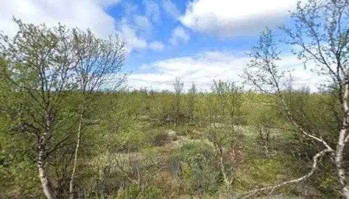 Kautokeino Samisk Vgs Alle - Kautokeino
