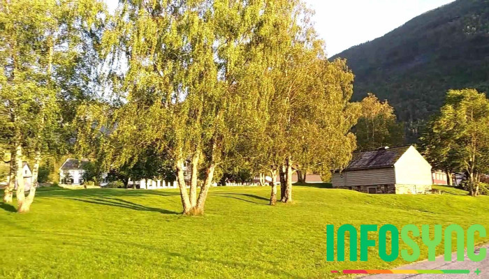 Kinsarvik Fjordhotel -  Fra Besokende - Kinsarvik