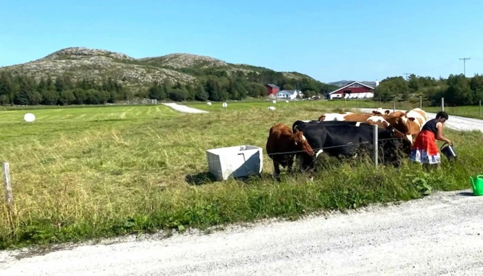 Kleiva Camping As -  Nummer - Rørvik