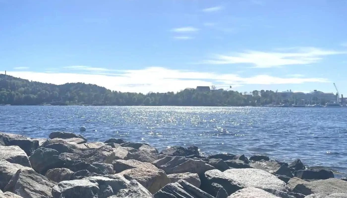 Kletterspinne -  Sist Opplastet - Kristiansand