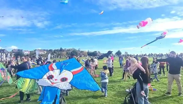 Kletterspinne -  Videoer - Kristiansand