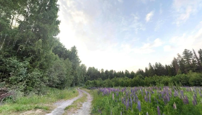 Kongsvinger Og Omegn Skytterlag -  Street View 360deg - Kongsvinger