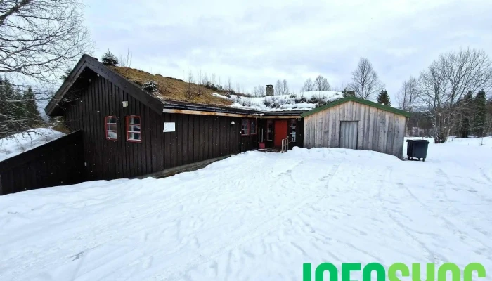 Korgen Lysløyper - Korgen