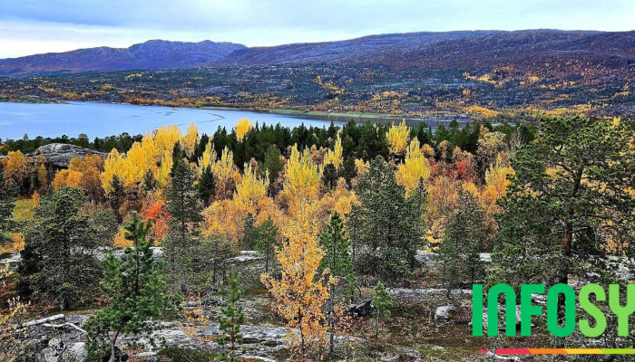 Kvaenangen Kraftverk As Alle - Sørstraumen