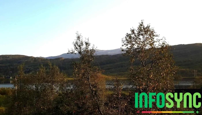 Kvamskogen -  Fjell - Norheimsund