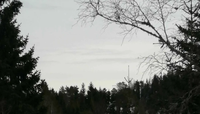 Kvamskogen -  Nær Meg - Norheimsund