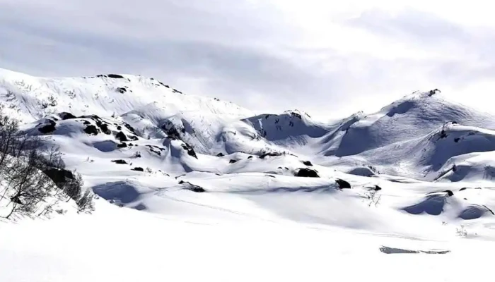 Kvamskogen -  Videoer - Norheimsund